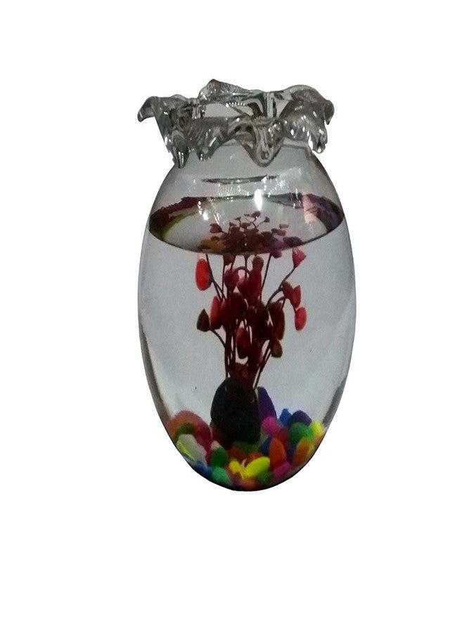 ABG Round Glass Terrarium/Aquarium Vessel. ONE Unit with 200GM. Colorful Stones. - Image 1